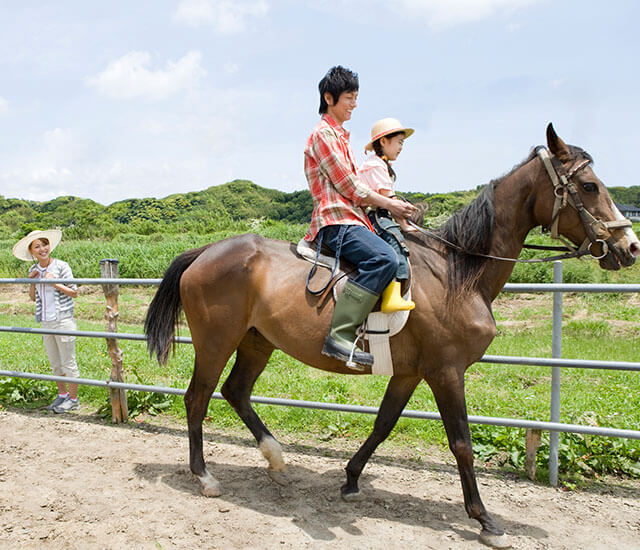 Momiji Lodge - Things to do 1
